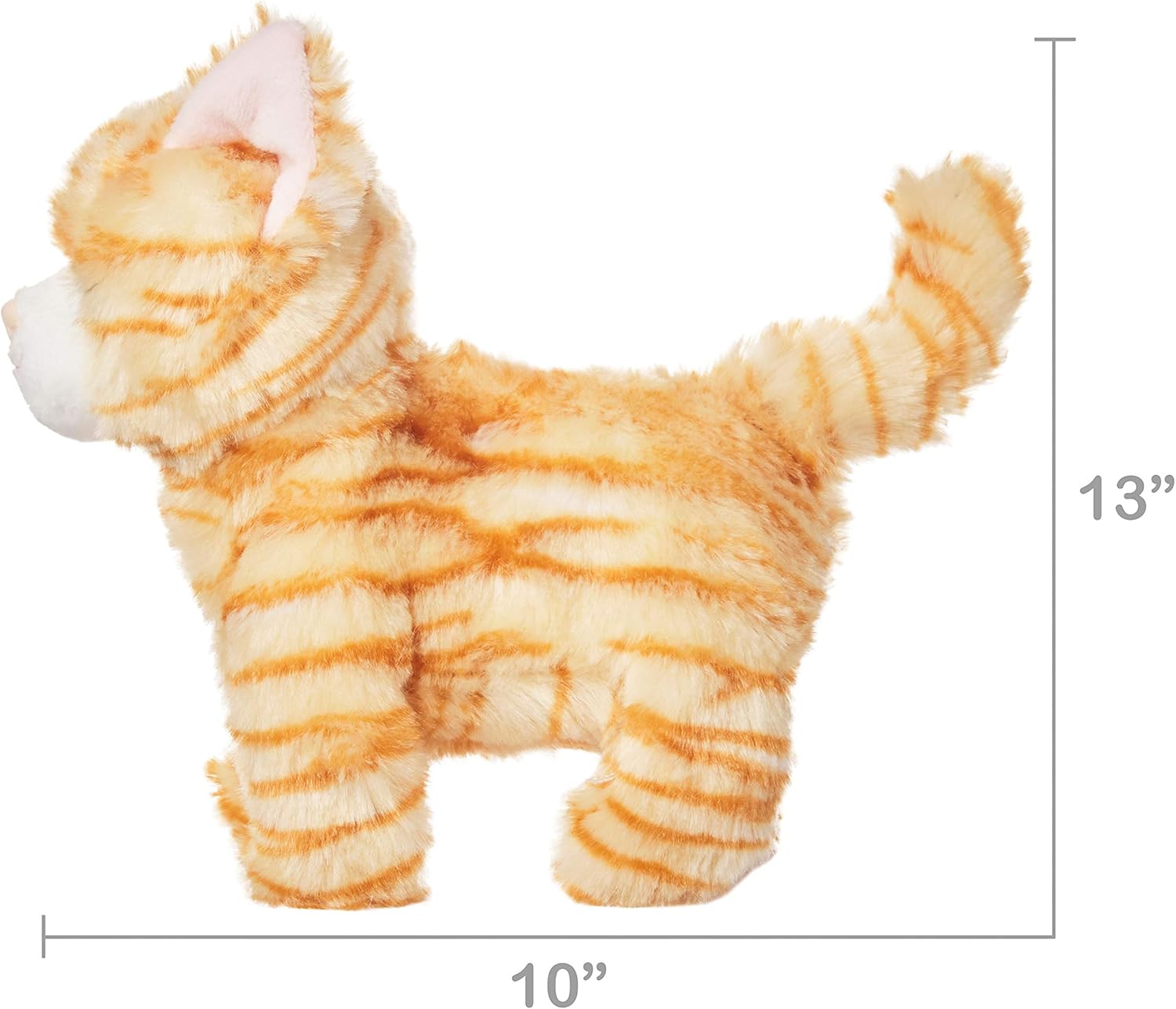 kid connection walking cat