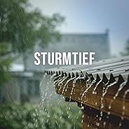 Sturmtief: Feel the Power of the Storm as It Lashes Against Your House, White Noise for the Imagination