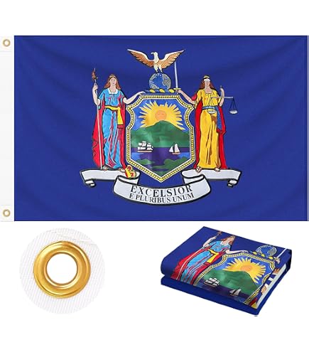 Amazon.com : ANLEY Fly Breeze 3x5 Foot New York State Flag - Vivid