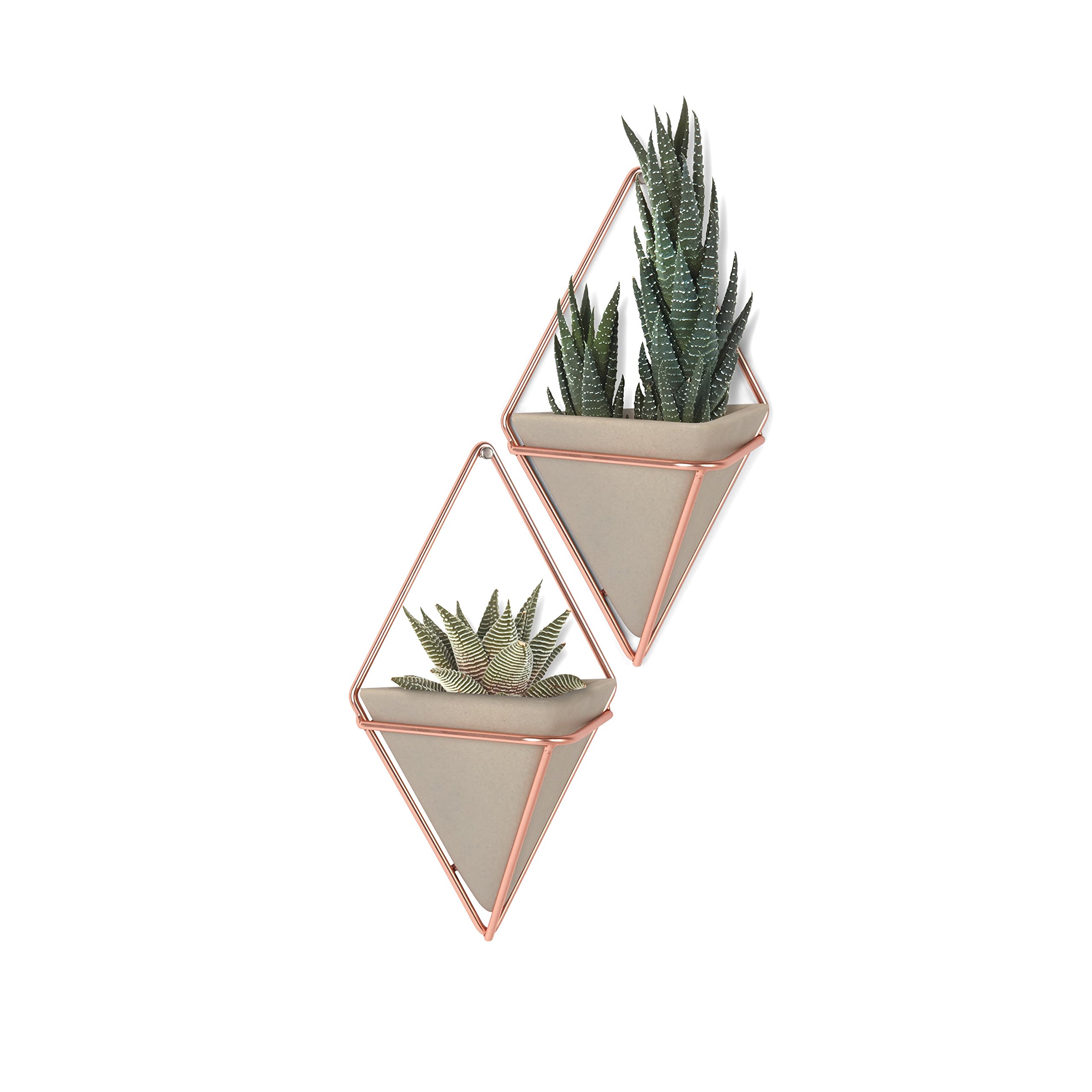 Umbra Trigg Hanging Planter Vase Geometric Wall Decor