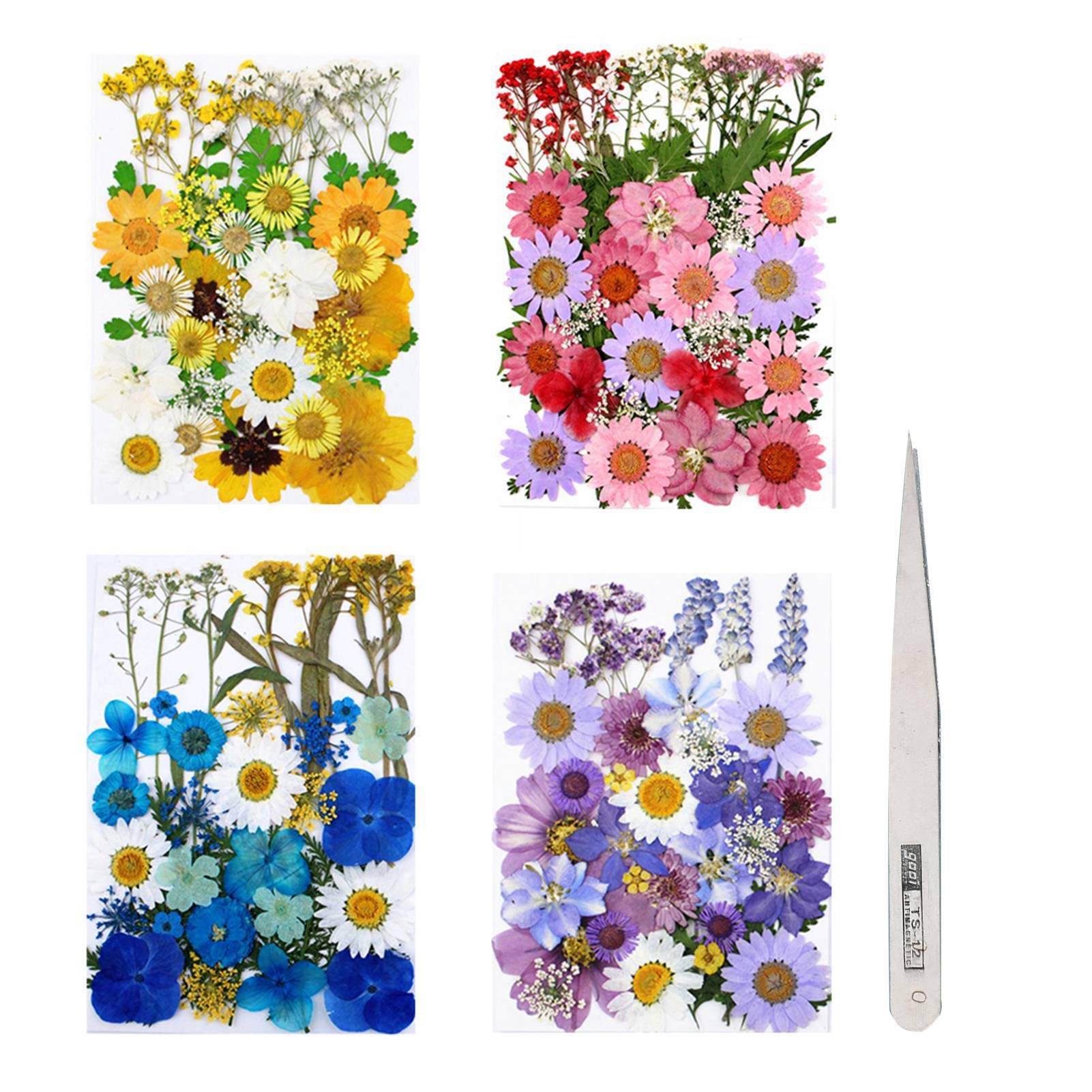 Fuyamp 131 Pcs Pressed Dried Flowers, Mixed Multiple Natural Flowers Leaves, Floral Art Craft with Tweezers for DIY Resin Pendant and Home Decorations