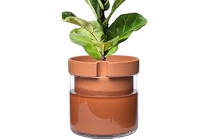 Phoenix Vine 10 Inch Self Watering Planter Pot, Terracotta Clay Pot with Glass Reservoir for Indoor Plants, Herbs, Flowers, 52-A-I