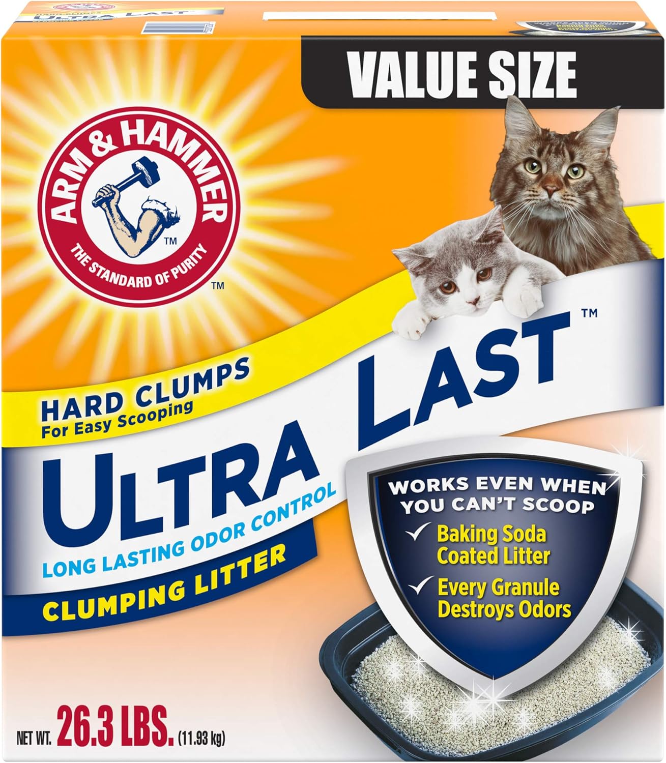 cockapoo short haircut