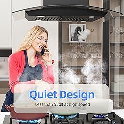 FIREGAS Black Island Mount Range Hood 30 inch with