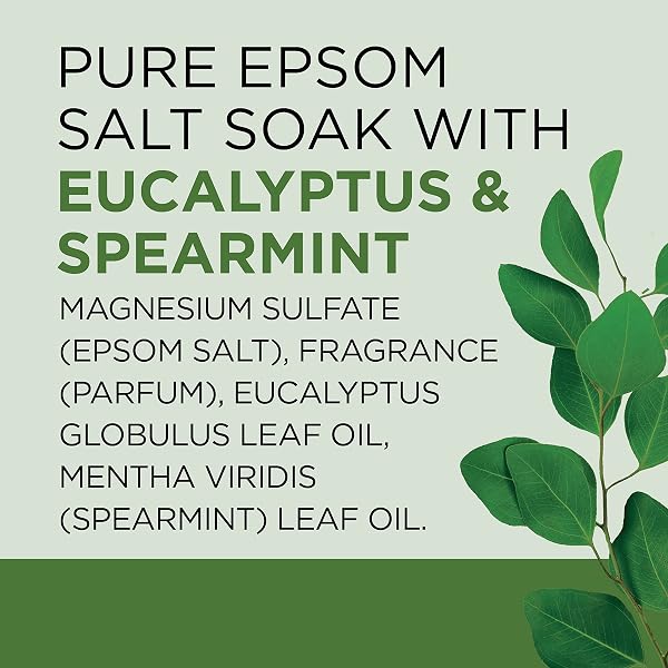 DR TEAL’S PURE EPSOM SALT, RELAX & RELIEF WITH EUCALYPTUS AND SPEARMINT, 3 LB (PACK OF 4)