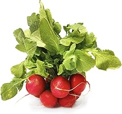 Organic Red Radishes, 1 Bunch