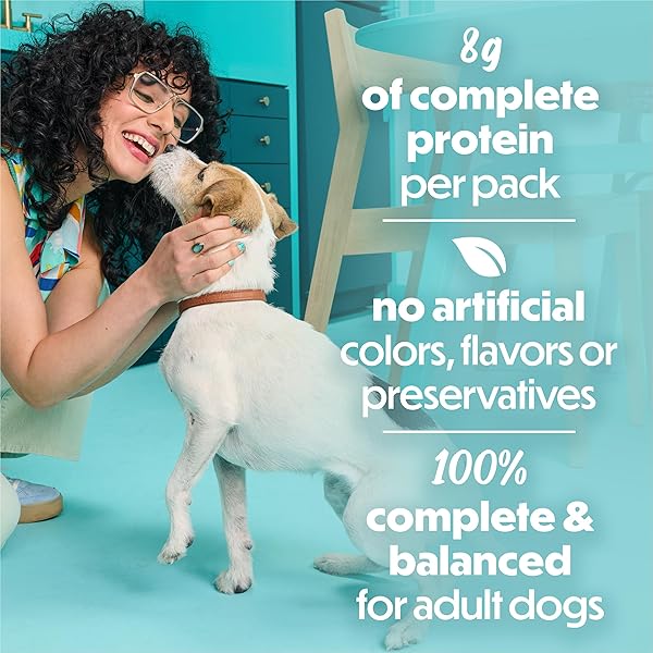 PURINA BENEFUL SMALL BREED WET DOG FOOD, INCREDIBITES LOAF WITH REAL SALMON RECIPE – (PACK OF 12) 3 OZ. CANS
