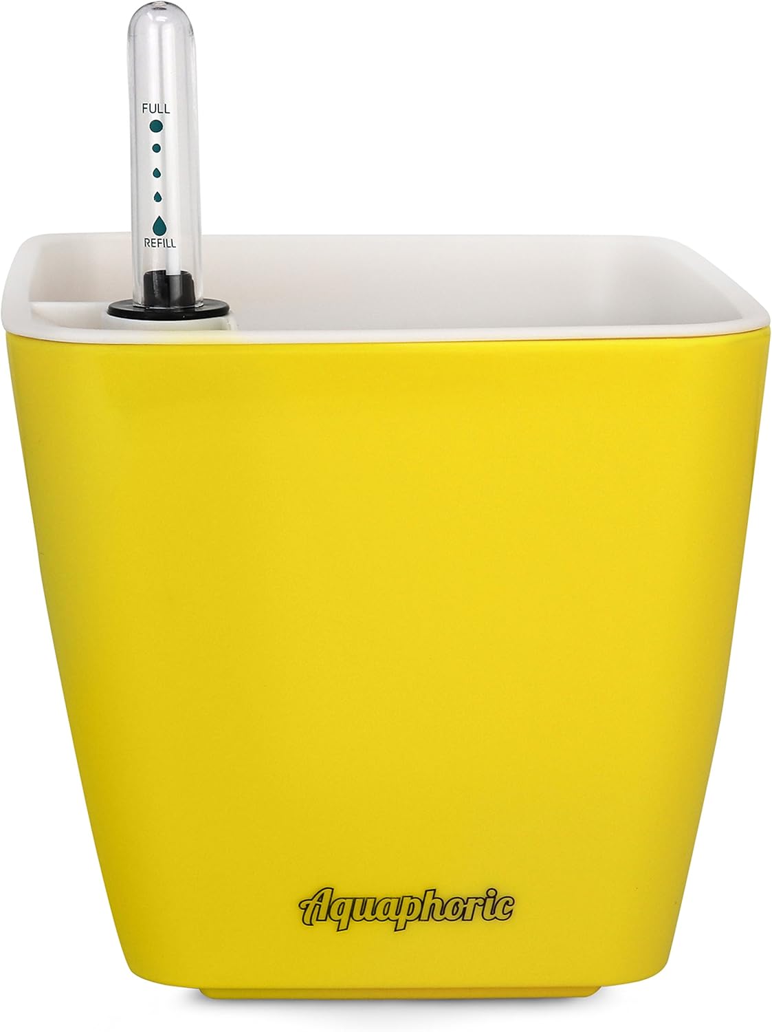 Best Yellow Garden Pots