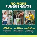 Bloom & Bud Fungus Gnat Killer 1 Litre Indoor Plant Protector Gravel Topper view 5