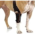 NeoAlly Dog Elbow Support Brace with Metal Inserts for Canine Elbow and Shoulder Support Elbow Hygroma, Dysplasia, Orthosis, Calluses, Pressure Sores and Shoulder Dislocation (Right Leg, Small)