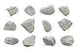 EISCO 12PK Oolitic Limestone, Sedimentary Rock