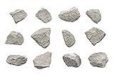 12PK Oolitic Limestone, Sedimentary Rock Specimens