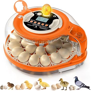 Amazon Best Sellers: Best Poultry Egg Incubators