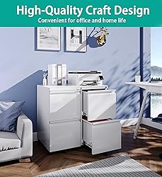 SISESOL 2 Drawer File Cabinet with Lock,Rolling