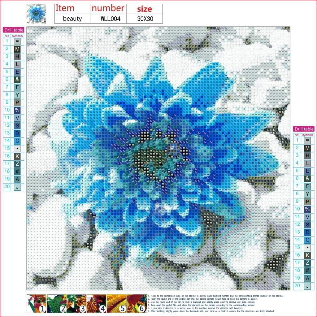 5d Diy Diamond Painting Set Bxzhiri Full Drill Cross Stitch Tools Accessory Containers For Diy Art Craft Decorative Pillows Covers Home Kitchen Guardebem Com