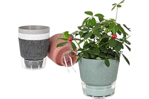 YENXIKU Self Watering Pots for Indoor Plants, 6 Inch Plant Pots with Drainage Holes and Saucers, Flower Pots for Indoor Plants, Orchid Pot, Succulent Pots, Gardening Pots, African Violet Pots, 5 Packs