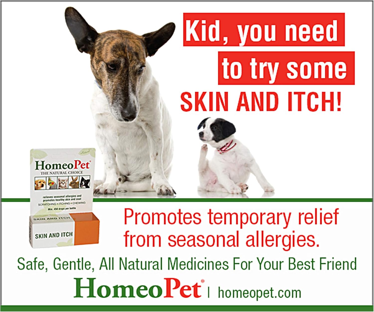 HomeoPet Skin & Itch Relief, 15 ml : Pet Itch Remedies : Pet Supplies