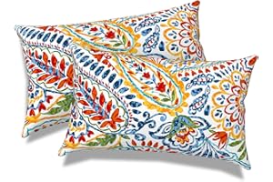 Melody Elephant Outdoor/Indoor Lumbar Pillows, Water Repellent Cushion Pillows, 12x20 Inch, Outdoor Pillows with Inserts for Home Garden, Pack of 2, Paisley Multi