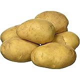 Fresh Potato, 1 kg