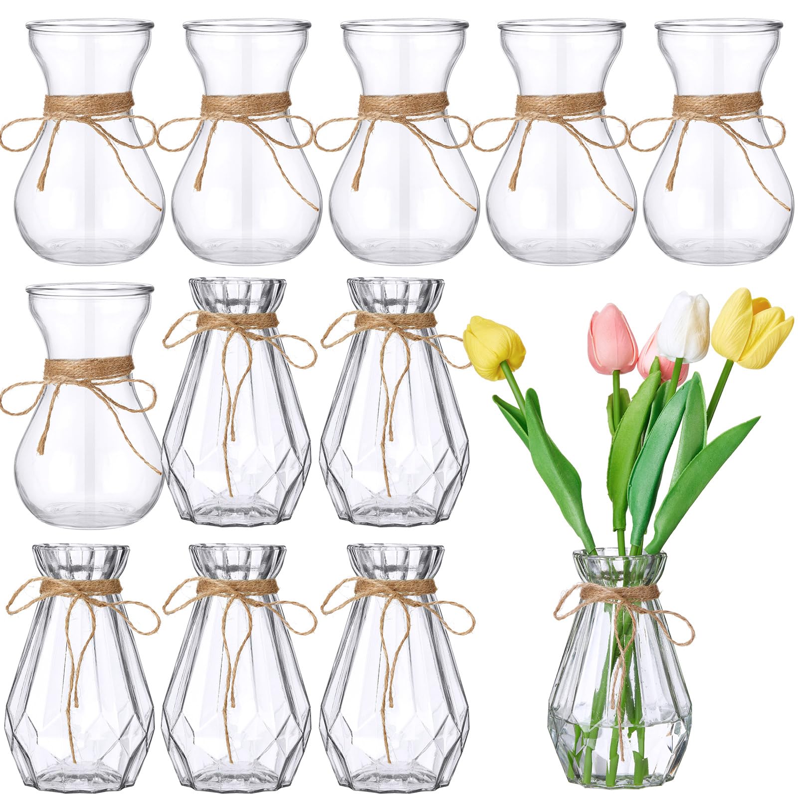 Photo 1 of Lallisa 12 Pieces Small Glass Bud Vases for Wedding Centerpieces Clear Mini Hyacinth Bulk Flower Vases with Rope Plant Containers for Wedding Plant Home Table Decorations(Classic Style)
