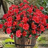 BSMYBO 6 Bundles Artificial Flowers for Outdoors UV Resistant Faux Silk Camellia Red Flowers for Planter Front Door Porch Patio Home Garden Balcony Decoration