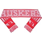FOCO NCAA unisex 2016 Glitter Stripe Scarf