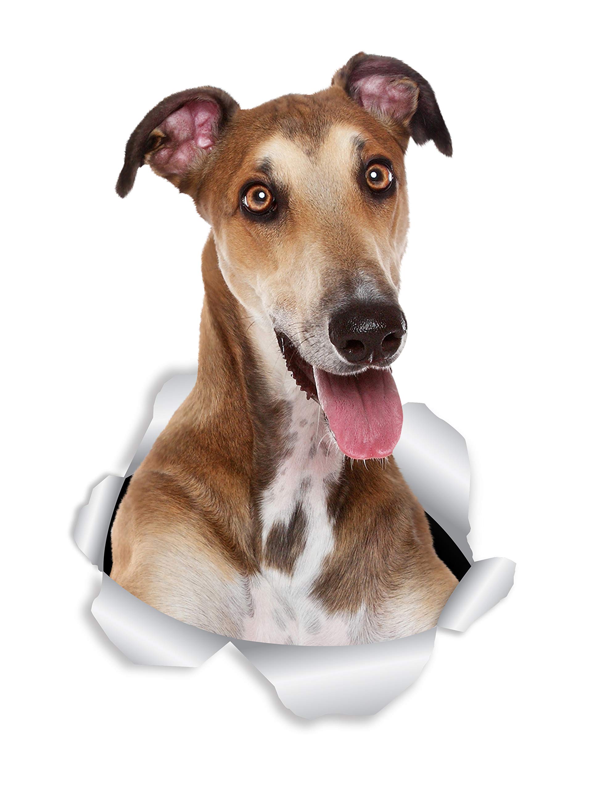 Winston & Bear Happy Greyhound Dog Wall Decals - 2 Pack - Greyhound Dog Toilet Sticker – 3D Dog Car Window and Bumper Sticker - Retail Packaged Greyhound Lover Gifts