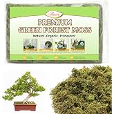 Riare 7OZ Natural Moss Artificial Fake Moss Alternative for Plants Indoor | Premium Faux Craft Moss for Potted Plant, Green Moss for Fairy Garden Vase Filler Terrarium Centerpieces Forest Decor