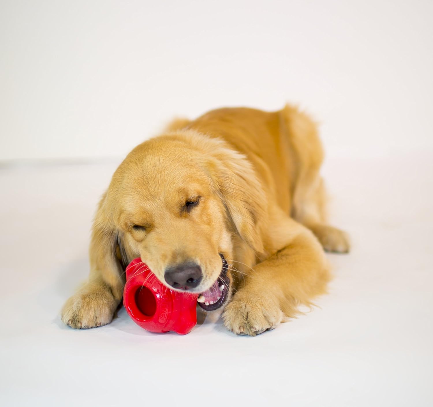 Puppy play