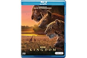 Kingdom (BD)