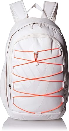 hayward 2.0 backpack