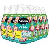 Renuzit Adjustable Air Freshener Gel, After the Rain, 7 Ounces (6 Count)