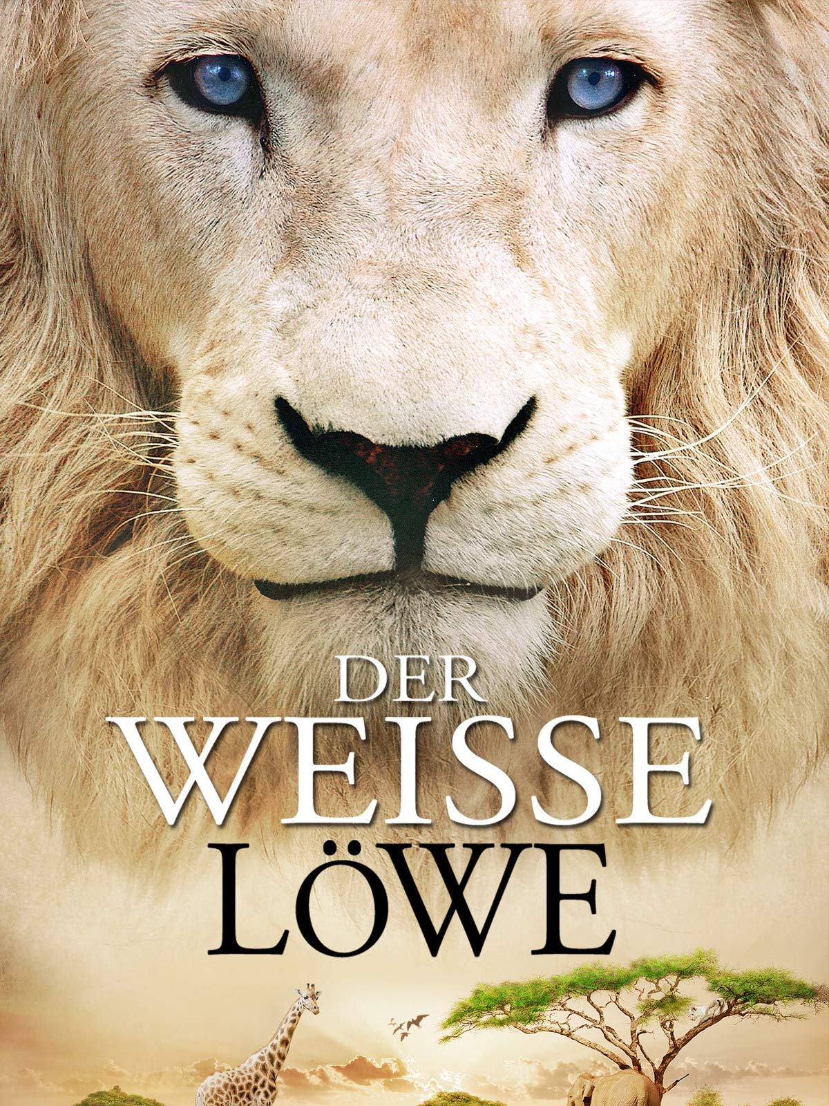 Amazon De Mia Und Der Weisse Lowe Ansehen Prime Video