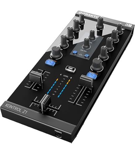 Amazon.com: Native Instruments Traktor Scratch Control Vinyl MK2