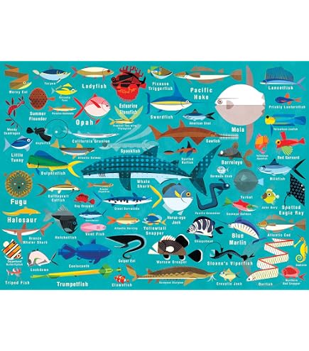 1000-Teile-Puzzle „Ozean“ Für Erwachsene – 75 X 50 Cm – Premium-Qualität Mit Poster, Ideal Zum Stressabbauen & Familienzeit