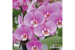 2026 Flowers Wall Calendar 12 Month | 12" x 24" Open | Giftable | Nature Calendar 2026 | Thick & Sturdy Paper for Calendar Organizing & Planning | Pacific Waters Press (Flowers)