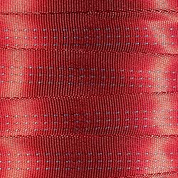 Paracord Planet Tubular Webbing 1 Inches – Belt
