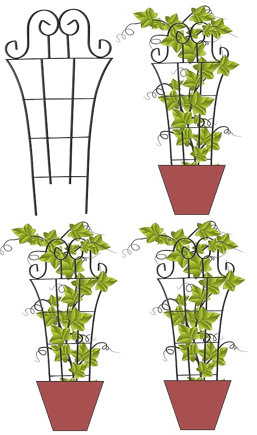 Jabox Metal Trellis Plant Support, Plant Supporters for Climbing Vines and Plants, Dark Grey, 50 X 25 cm (JDT-01, Pack of 4)