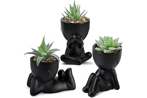 Der Rose 3pcs Fake Succulents Plants Artificial for Black Bathroom Bedroom Home Living Room Halloween Decor Aesthetic Indoor
