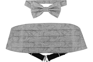 VESUVIO NAPOLI Cumberbund & BowTie SILVER GRAY PAISLEY Color Men's Grey Cummerbund Bow Tie Set