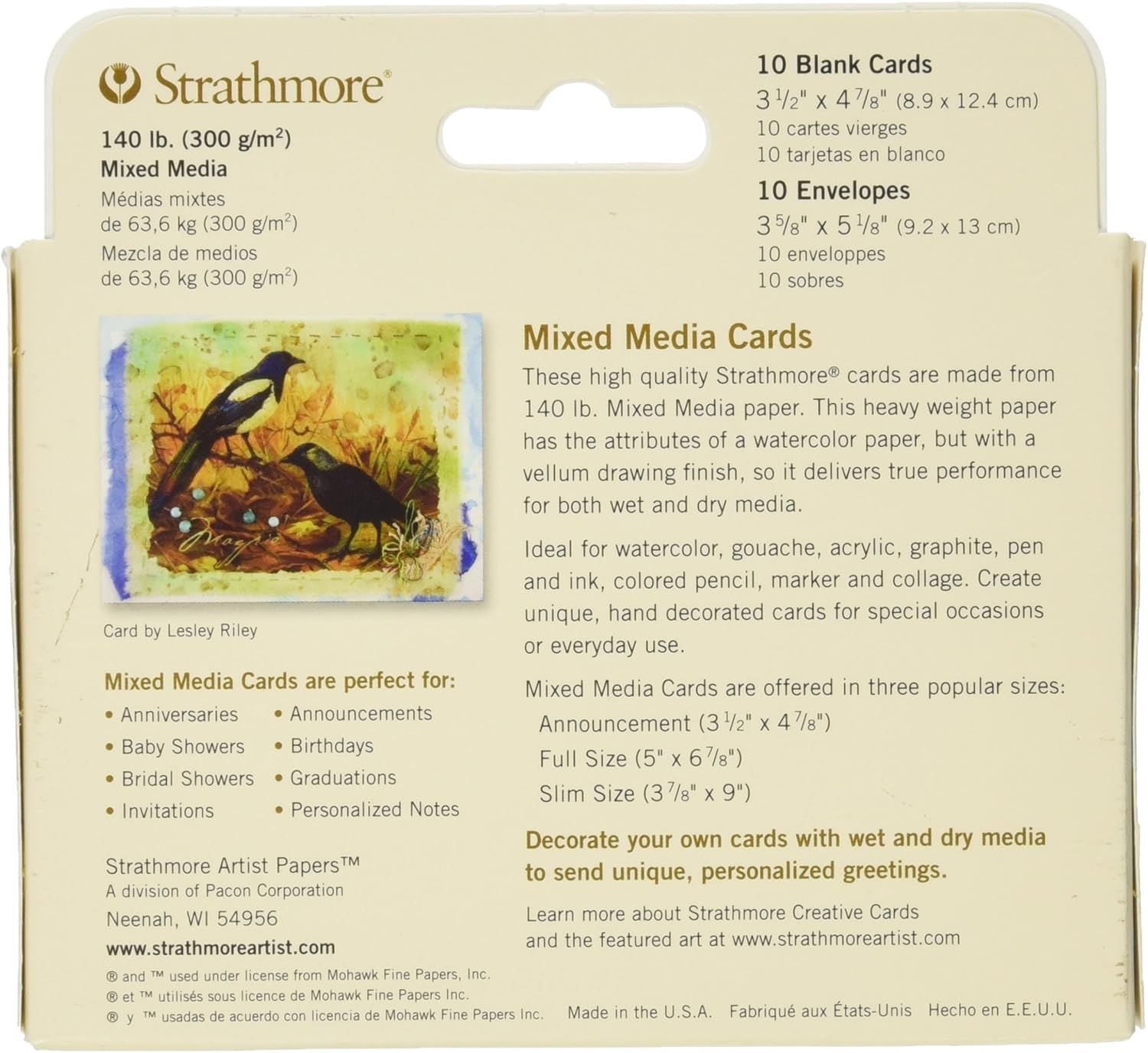 Strathmore 105-18 Mixed Media Cards, Announcement Size, Vellum, 10 Cards & Envelopes: Office Products