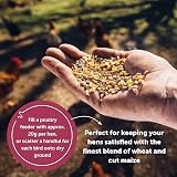 Copdock Mill Mixed Corn Chicken Feed with Verm-X 20kg view 7