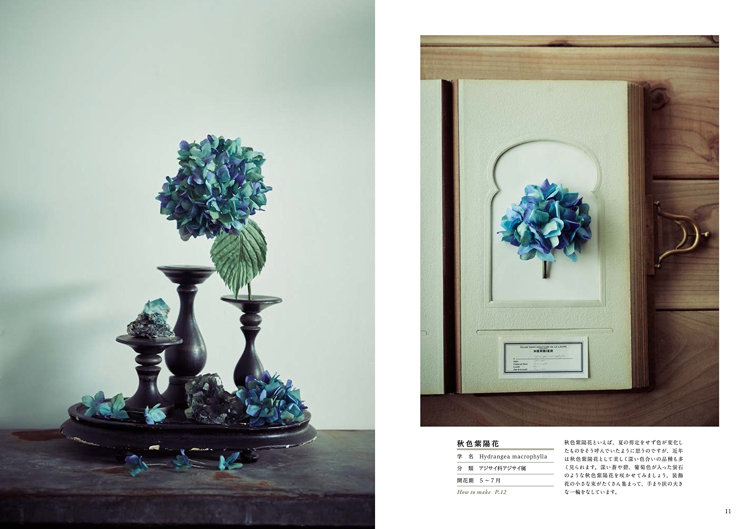 Amazon Fr 布花標本 布で作るの植物とブローチ Livres