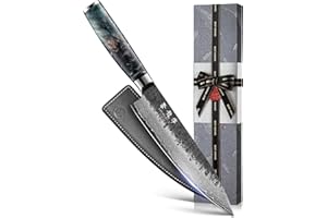 Japanese Chef Knife, 8 Inch Damascus Kitchen Knife with VG10 Steel Core, Professional Black Forged Kitchen Knives with Ergono