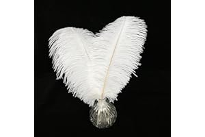 Happy Feather 10 pcs Ostrich Feathers Centerpiece 14-16 inch for Wedding Home Party Decoration, DIY Craft-White