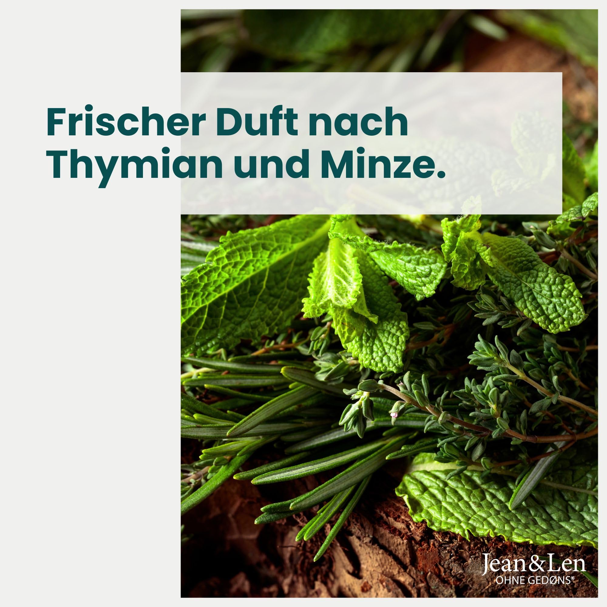 Jean & Len Anti-Schuppen Shampoo Thymian & Minze, vegane Pflegeformel, mit Piroctone Olamine, gegen Schuppen, für die tägliche Haarwäsche geeignet, ohne Parabene & Silikone, vegan, 300 ml 6