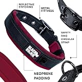 Black Rhino The Comfort Collar Ultra Soft Neoprene Padded Dog Collar XL Burgundy view 2