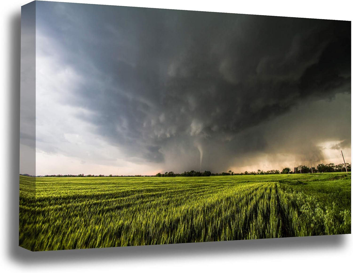 Photographs - Storm Photography Canvas Wall Art - Gallery Wrap of a Tornado Appearing Out of the Rain Over a Wheat Field in Kansas - Ready to Hang Weather Photo Artwork Decor 8x10 to 30x45