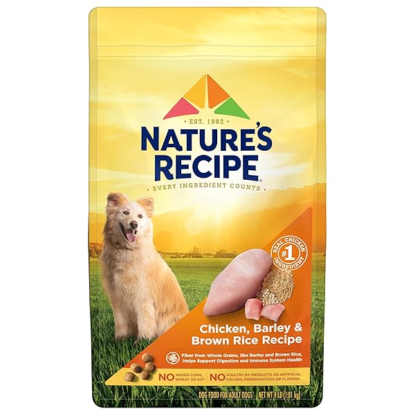NATURE’S RECIPE DRY DOG FOOD, CHICKEN, BARLEY & BROWN RICE RECIPE, 4 LB. BAG