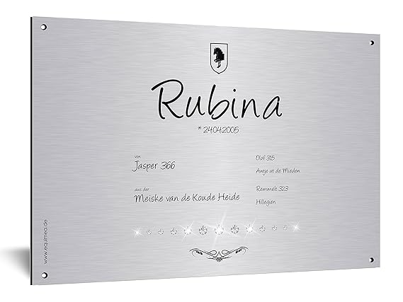 Boxenschild veredelt mit Swarovski®, silber oder gold, mit Pferdenamen & Abstammung, 20x30cm, Alu-Verbund